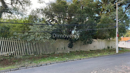Imagem 3 de 3 de Terreno - Cristal - Ref: 23013 - V-23013