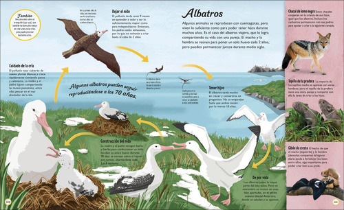 Libro Los Ciclos De La Vida