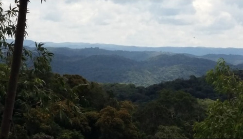 Imagem 9 de 19 de Sítio À Venda Em Juquitiba 45 Mil M² Nascente Pomar Linda Vista Para Pôr Do Sol