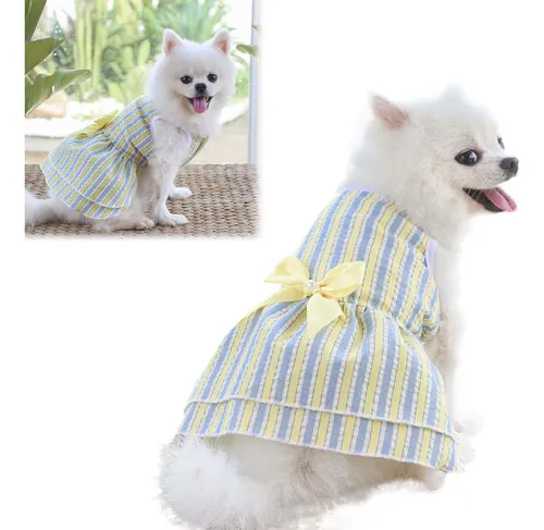Ropa Para Pug Hembra MercadoLibre