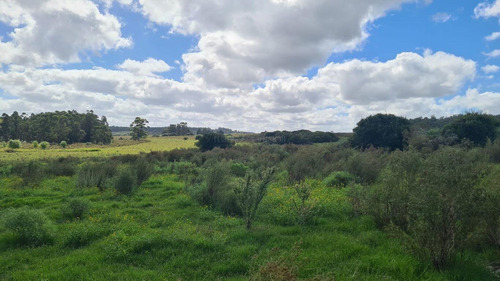 Chacras De 3 Hectáreas Sobre Ruta Interbalnearia Desde 95.000 Dólares, Oportunidad!