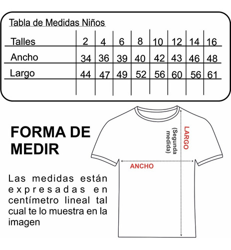 Imagen 2 de 2 de Camiseta Remera Stranger Things Hellfire Club Temporada 4