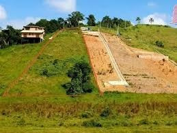 Rt Terreno Direto Com O Proprietário (guarulhos)