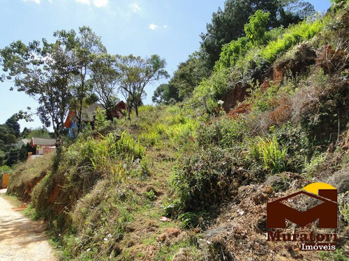 Imagem 6 de 15 de Lote À Venda - 2079
