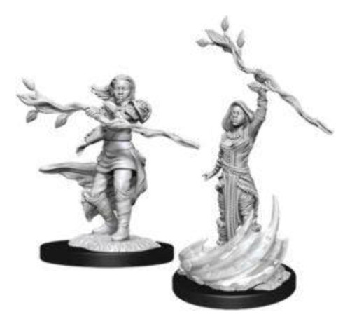 Figura Miniatura Wizkids D&d Nolzurs Marvelous Wave 3 Paladi