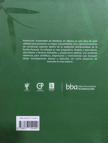 Produccion Sustentable De Bambues En Mexico - Colpos