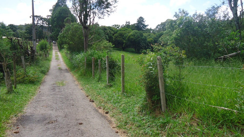 Chácara 44.000m2 Completa