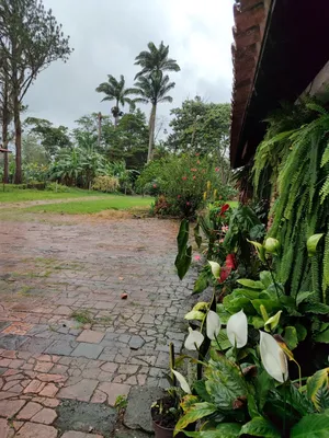 Hacienda-Finca en venta