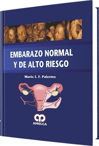 Embarazo Normal Y De Alto Riesgo Palermo