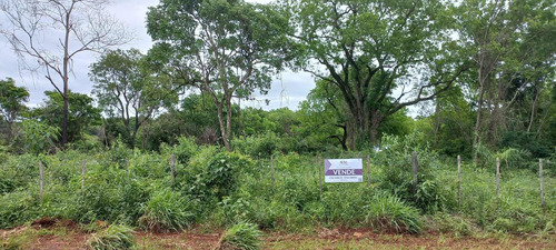 Imagen 4 de 7 de Lotes En Exclusiva Ubicación En Candelaria Misiones