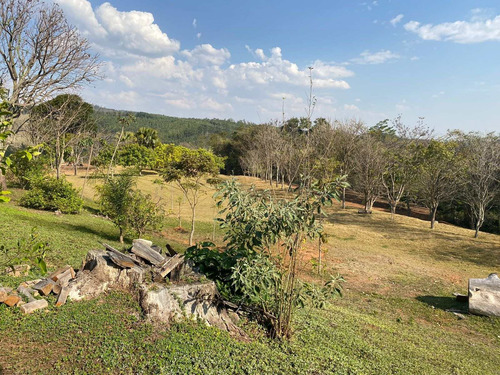 Imagem 25 de 30 de Sítio 20 Alqueires, Casa Sede Com 2 Dormitórios, 1 Suíte Com Banheira, Escritório, Casa De Caseiro, Área De Lazer Completa, Árvores Frutíferas - St00169 - 70653265