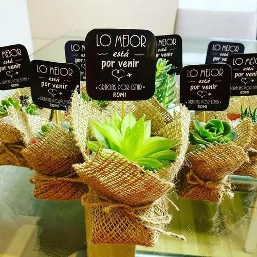 Imagen 3 de 8 de Regalo Suculentas Cactus, Recuerdo Promoción, Matri Misa Año