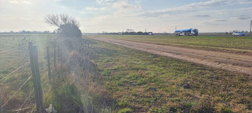 Imagen 7 de 9 de Venta De Terreno- 8 Ha. Sobre Aut. Rosario-bs.as.