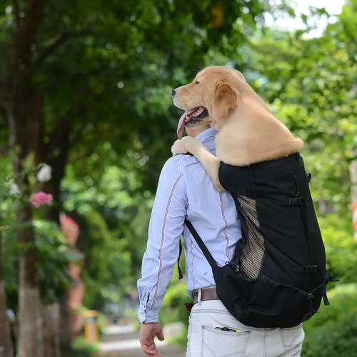 Mochila transportar perro hotsell