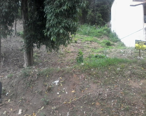 Imagem 6 de 14 de Terreno Na Taquara ( Jacarepaguá ) Ci1125