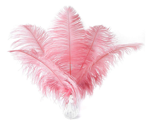 24 Plumas De Avestruz Rosa De Loto Natural De 10-12 Pulgadas