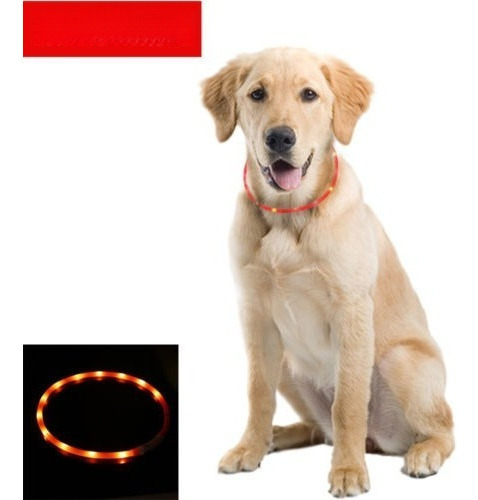 Perro Del Animal Doméstico Led Luz Intermitente Collar De Pe