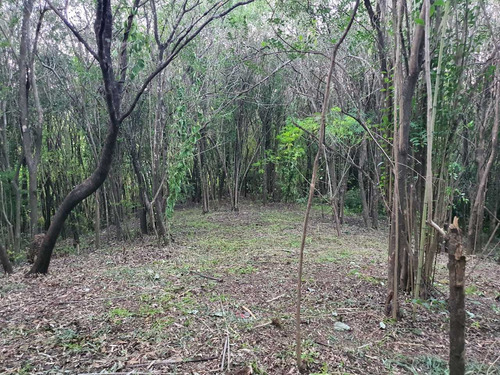 Imagen 5 de 6 de Venta Lote Terreno A Mts De Ruta Villa Animi Sierras Chicas
