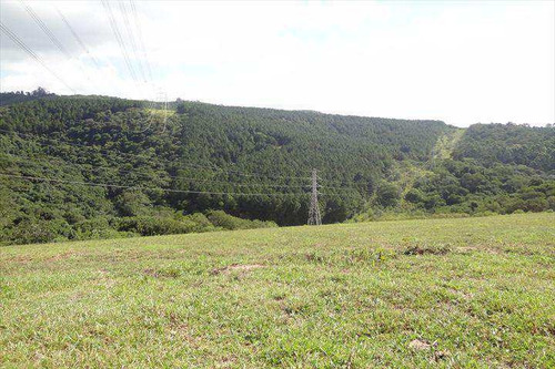 Imagem 6 de 11 de Terreno, Capela Velha, Santana De Parnaíba - R$ 1.675.000,00, 0m² - Codigo: 146300 - V146300