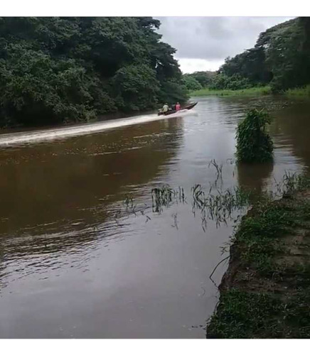 Finca De 600 Has En Arismendi Con Pozos De Agua Y Electricidad 110/220