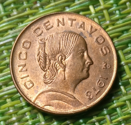 Moneda De 5 Centavos Josefa Chica 1973 Sin Circular. (Usado)