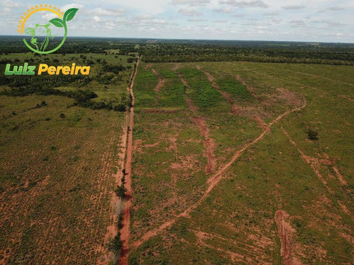 Imagem 14 de 15 de Fazenda À Venda Em Fátima - To-excelente P/ Lavoura, Plantio De Até 800 Hec - 1617