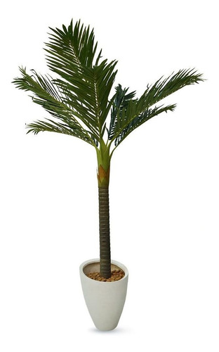 Planta Palmeira Permanente Ornamental Grande 1,50 F. Grátis