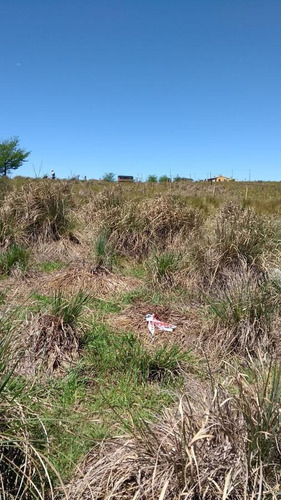 Imagen 7 de 8 de Terreno 440 M2 - Yacanto Calamuchita