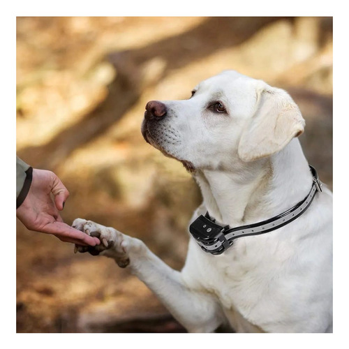 Collar De Adiestramiento Para Mascotas Con Control Remoto Negro