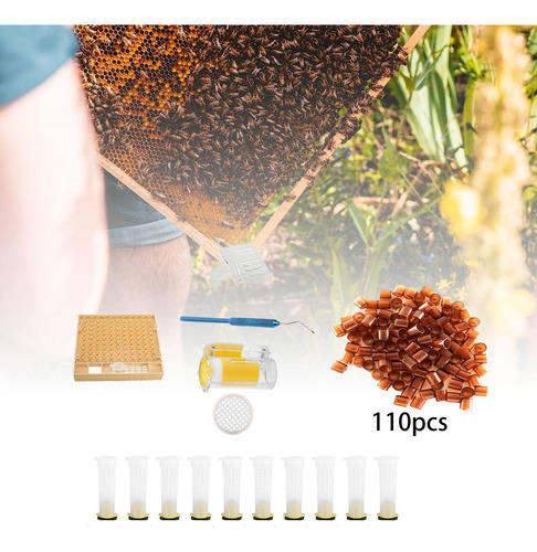 Kit De Cría De Reina, Tazas De Herramientas De Injerto Para