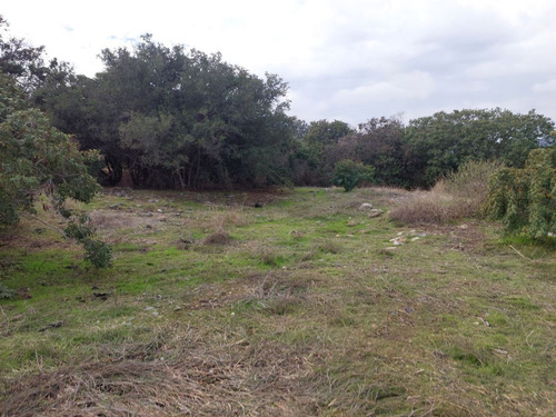 Parcela En Venta En Olmué