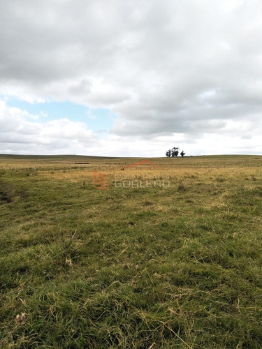 Venta De Campo En Rocha, A 10 Min De La Paloma