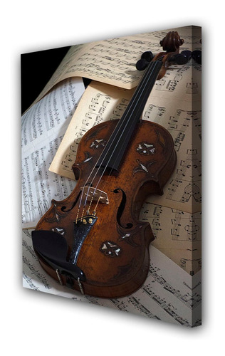 Cuadro 40x60cm Violin Musica Instrumento M4