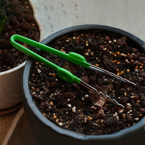 Suculentas Pinzas Herramientas Bonsai Tool Pinzas De Punta D