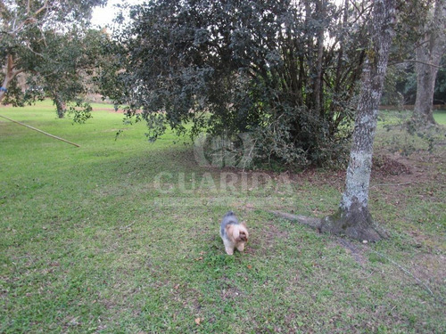 Imagem 13 de 15 de Sitio - Sitios - Ref: 98116 - V-98116