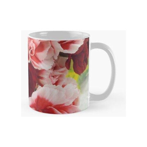 Taza Rosas Rosadas - Fotografía Original Calidad Premium