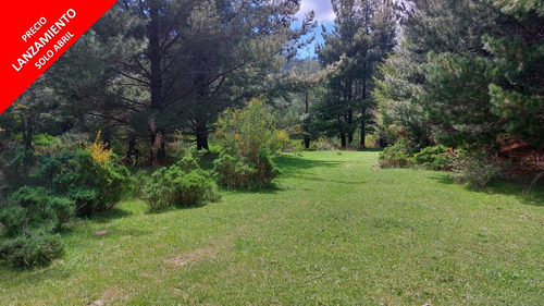 Cunco  Parcelas De Agrado / Curacalco