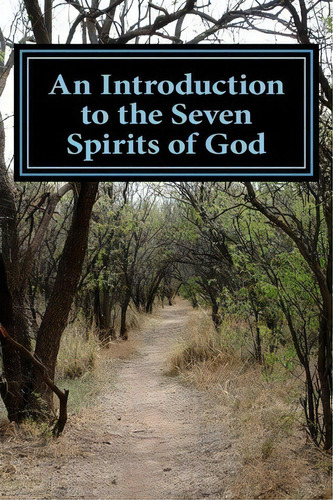 An Introduction To The Seven Spirits Of God, De New Mystic. Editorial Createspace Independent Publishing Platform, Tapa Blanda En Inglés