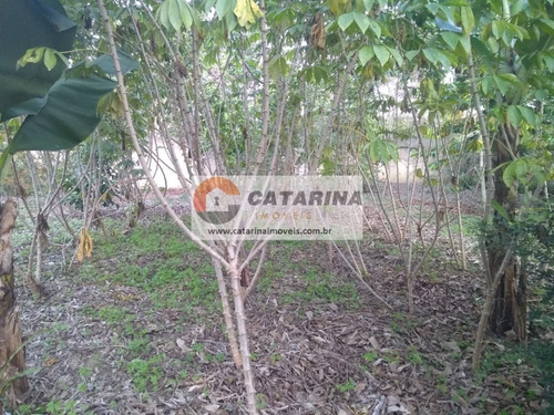 Imagem 5 de 10 de Lindo Terreno Com Topografia Plana!