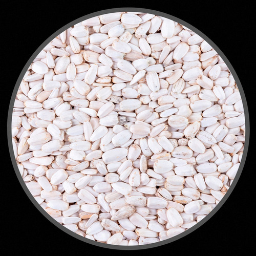 Sementes De Girassol Branco - 2,5 Kg