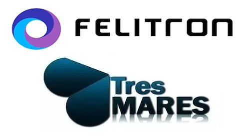 Imagen 2 de 3 de Auriculares Felitron P1 Compacto Acustico 2.5mm Oficina