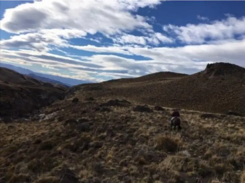 Terreno Patagonia 1.450 Hectáreas, En Venta En Chile Chico