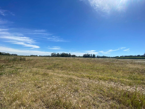 Imagen 5 de 14 de Latorre Prop. Vende Una Hectarea En La Zona De Parque Camet