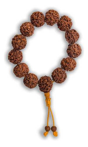 Manos Del Tíbet Rudraksha Semilla Muñeca Para Meditación Yog