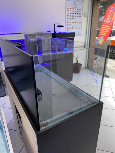 Imagem 9 de 10 de Aquario + Móvel 270l 120x50x45 Pronta Entrega Aquaproject