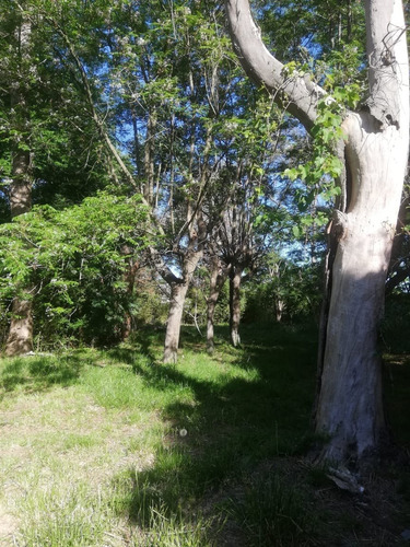 Quinta Casa Terreno 2800 M2, 1372 E/1327 Y 1319, Villa San Luis, Florencio Varela