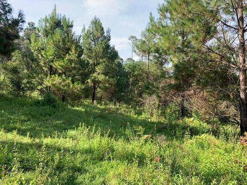 Imagen 8 de 9 de Terreno En Venta.