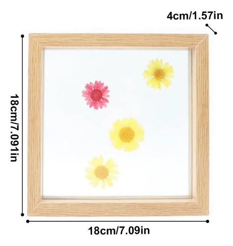 Marco Para Muestras De Flores Y Hojas Secas Con Cristal Auté