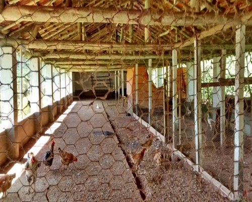 Imagem 20 de 30 de Sitio À Venda Em Juquitiba, - 21 - 32982657
