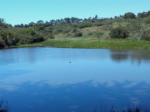 Imagen 11 de 24 de Agrícola En Venta En Algarrobo